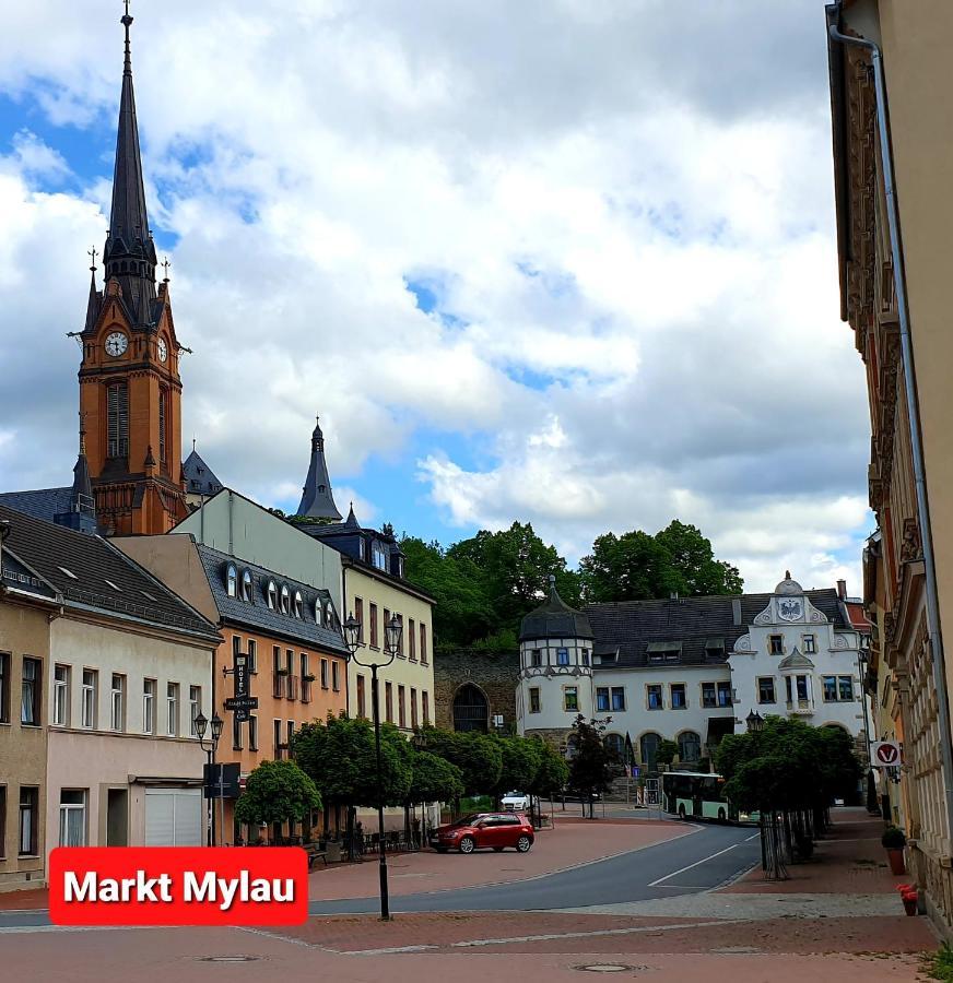 Ferienwohnung "Blick Mylau" - Naehe Freizeitpark Plohn & Weltgroesster Ziegelsteinbruecke Reichenbach im Vogtland Eksteriør bilde