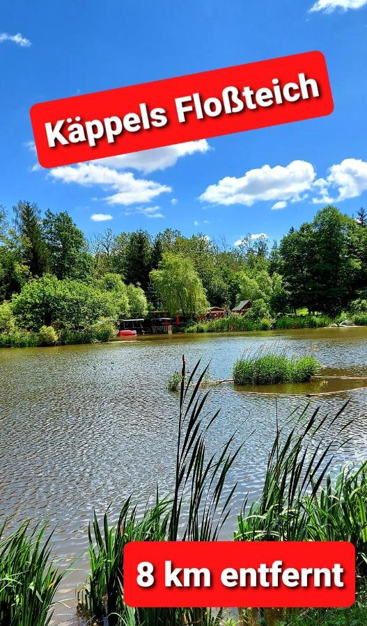 Ferienwohnung "Blick Mylau" - Naehe Freizeitpark Plohn & Weltgroesster Ziegelsteinbruecke Reichenbach im Vogtland Eksteriør bilde