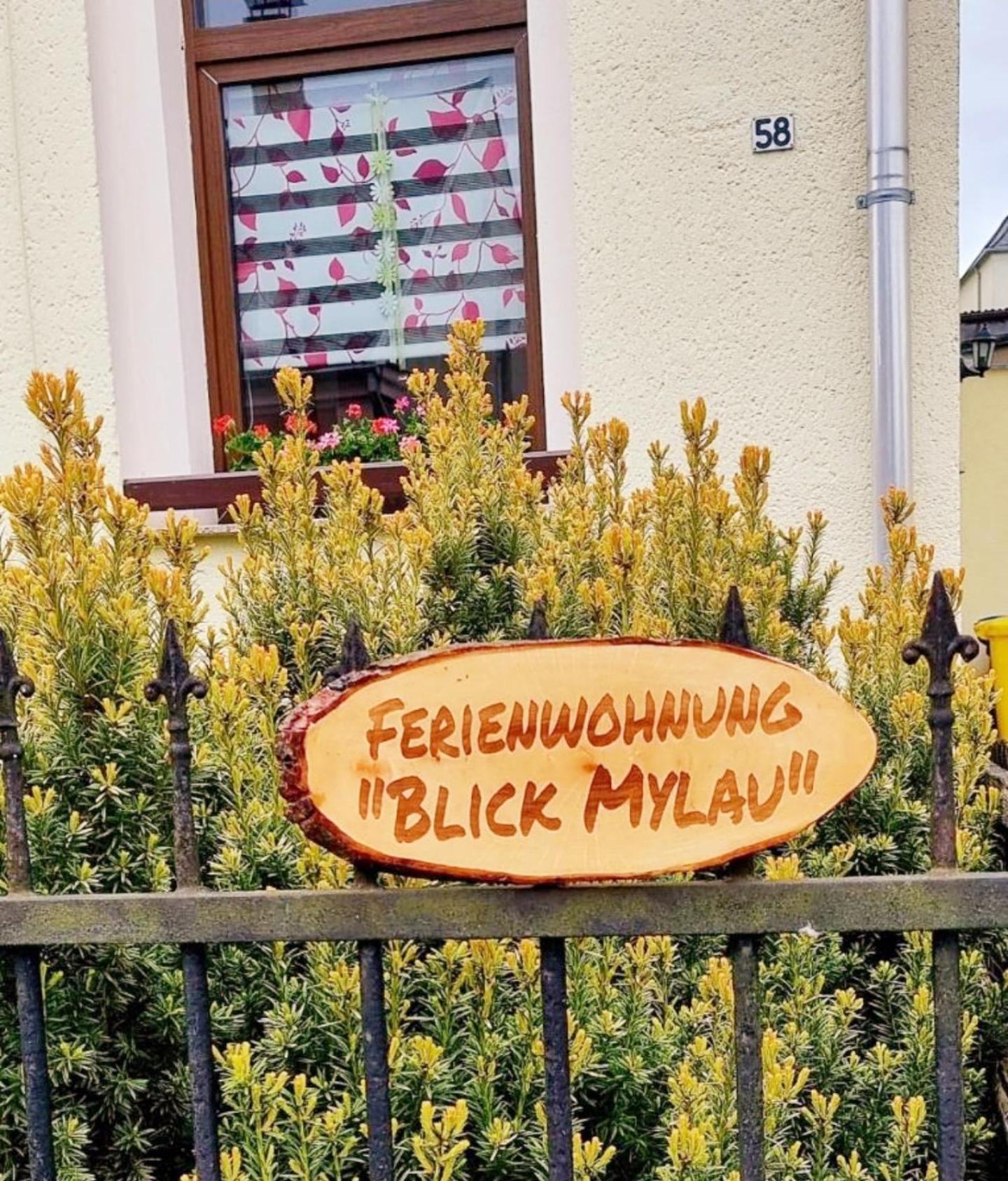 Ferienwohnung "Blick Mylau" - Naehe Freizeitpark Plohn & Weltgroesster Ziegelsteinbruecke Reichenbach im Vogtland Eksteriør bilde