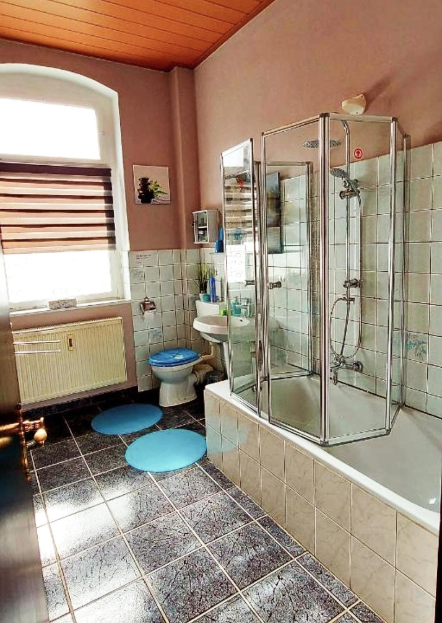Ferienwohnung "Blick Mylau" - Naehe Freizeitpark Plohn & Weltgroesster Ziegelsteinbruecke Reichenbach im Vogtland Eksteriør bilde