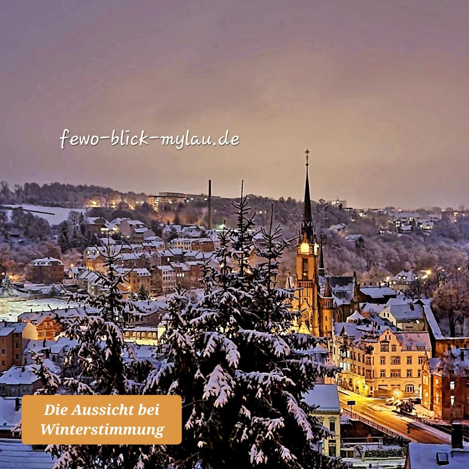 Ferienwohnung "Blick Mylau" - Naehe Freizeitpark Plohn & Weltgroesster Ziegelsteinbruecke Reichenbach im Vogtland Eksteriør bilde